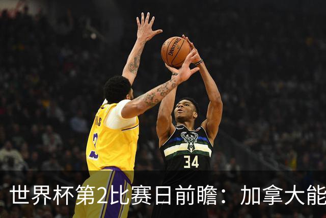 世界杯第2比赛日前瞻：加拿大能否破“0胜”，美国要啃“硬骨头”
